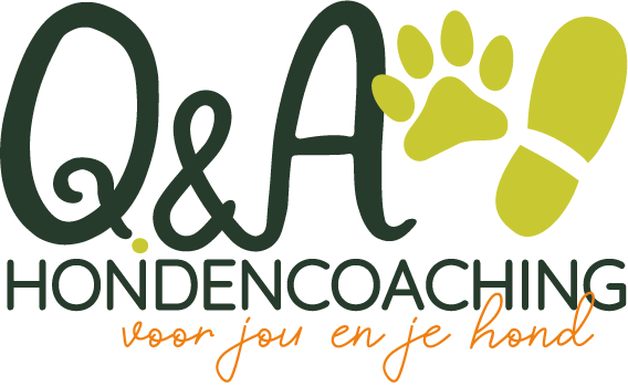 Q&A Hondencoaching